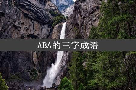 ABA的三字成语