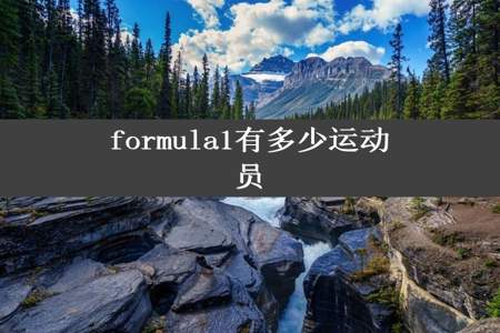 formula1有多少运动员