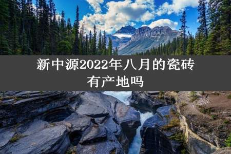 新中源2022年八月的瓷砖有产地吗