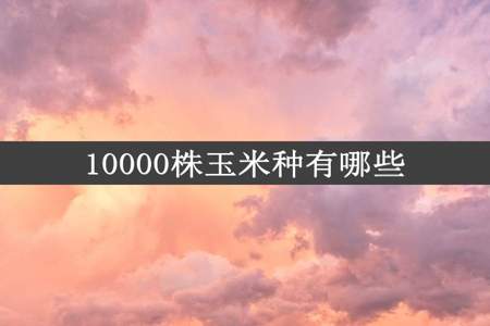 10000株玉米种有哪些