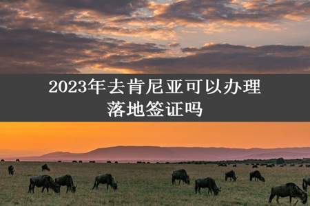 2023年去肯尼亚可以办理落地签证吗