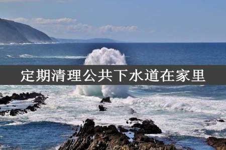 定期清理公共下水道在家里