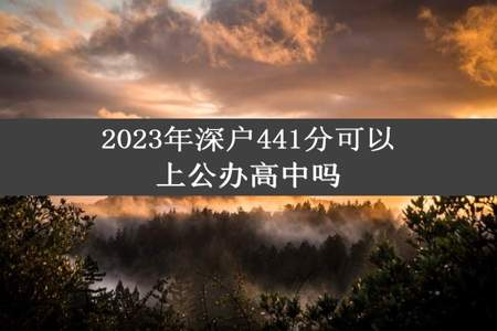 2023年深户441分可以上公办高中吗