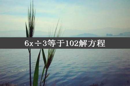 6x÷3等于102解方程