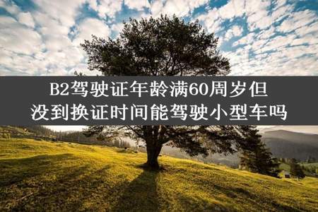 B2驾驶证年龄满60周岁但没到换证时间能驾驶小型车吗