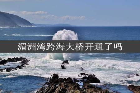 湄洲湾跨海大桥开通了吗