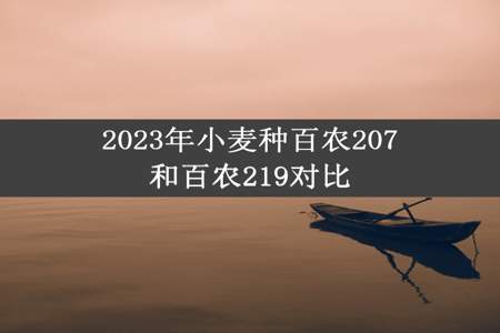 2023年小麦种百农207和百农219对比