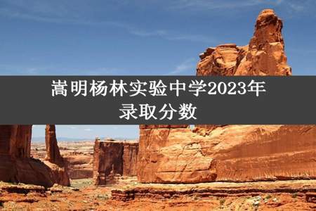 嵩明杨林实验中学2023年录取分数