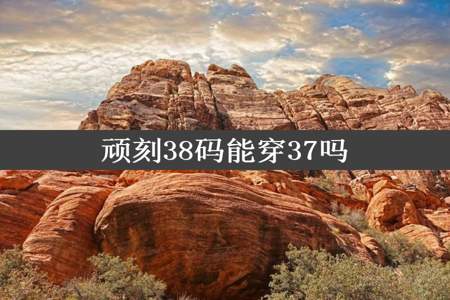 顽刻38码能穿37吗