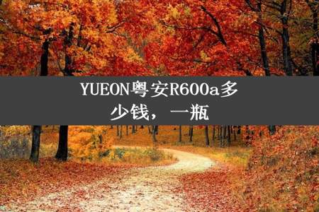 YUEON粤安R600a多少钱，一瓶