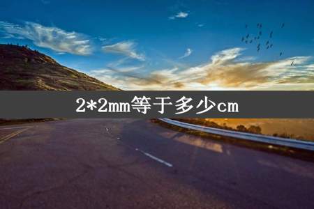 2*2mm等于多少cm