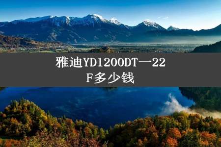 雅迪YD1200DT一22F多少钱