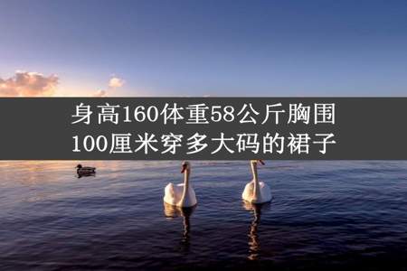 身高160体重58公斤胸围100厘米穿多大码的裙子