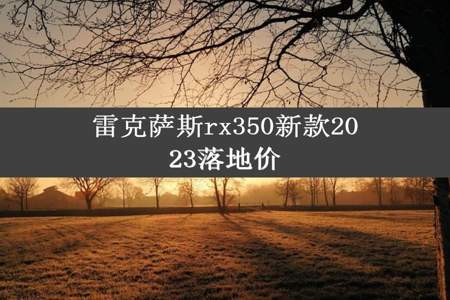 雷克萨斯rx350新款2023落地价