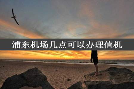 浦东机场几点可以办理值机