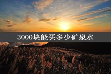 3000块能买多少矿泉水