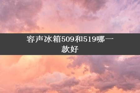 容声冰箱509和519哪一款好