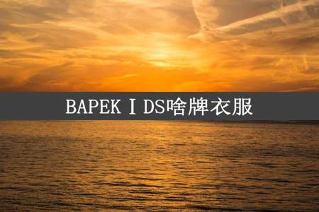 BAPEKⅠDS啥牌衣服