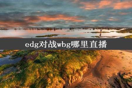 edg对战wbg哪里直播