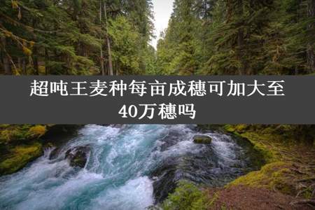 超吨王麦种每亩成穗可加大至40万穗吗