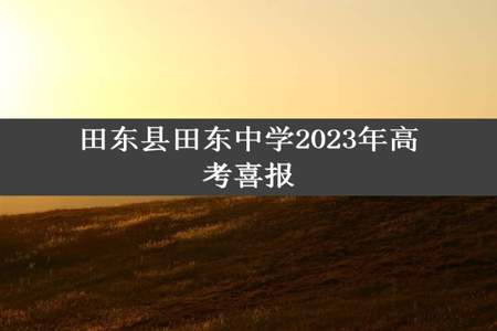 田东县田东中学2023年高考喜报