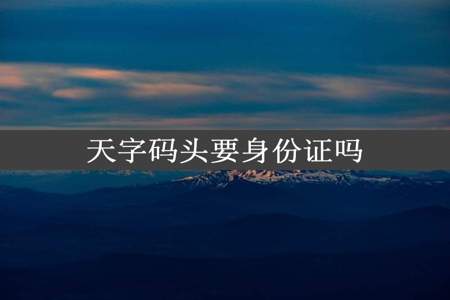 天字码头要身份证吗