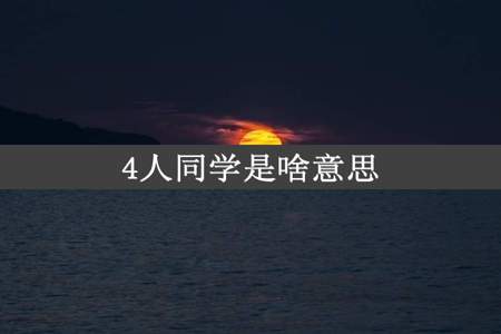 4人同学是啥意思