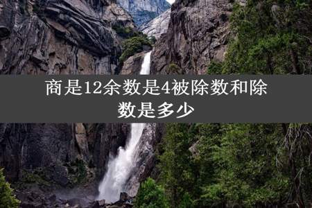 商是12余数是4被除数和除数是多少