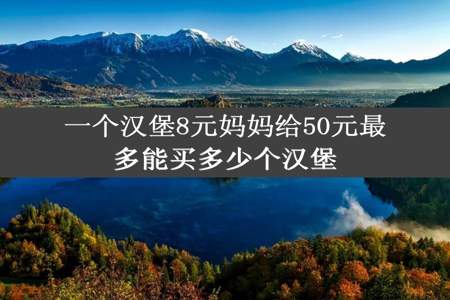 一个汉堡8元妈妈给50元最多能买多少个汉堡