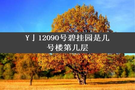 Y亅12090号碧挂园是几号楼第几层