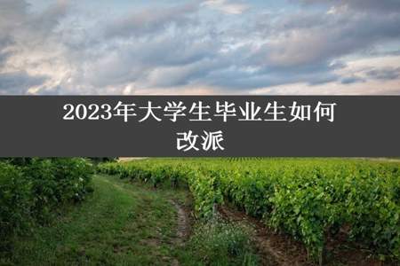 2023年大学生毕业生如何改派