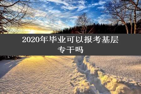 2020年毕业可以报考基层专干吗