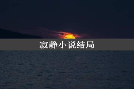 寂静小说结局