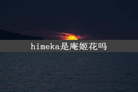 himeka是庵姬花吗