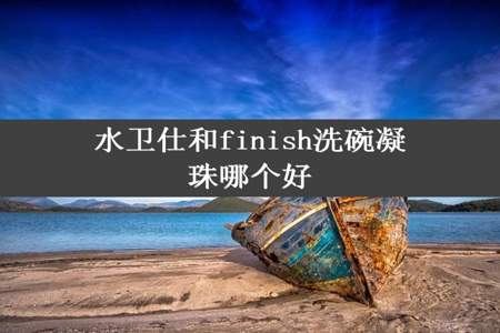 水卫仕和finish洗碗凝珠哪个好