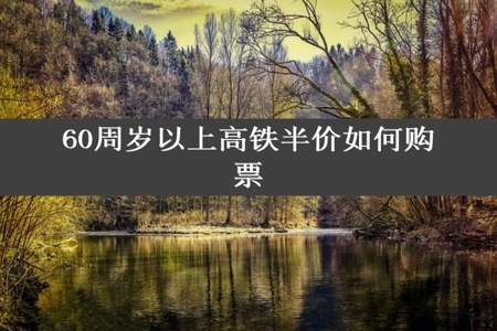 60周岁以上高铁半价如何购票