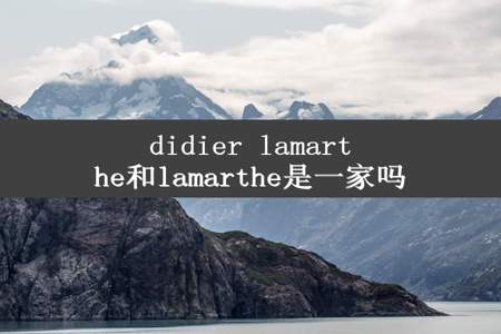 didier lamarthe和lamarthe是一家吗