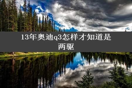 13年奥迪q3怎样才知道是两驱