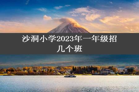 沙洞小学2023年一年级招几个班