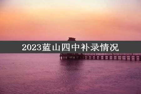 2023蓝山四中补录情况