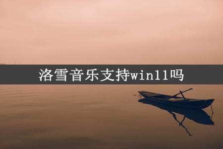 洛雪音乐支持win11吗