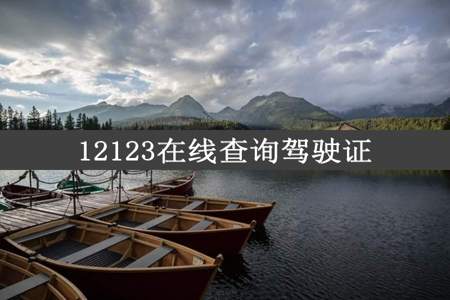 12123在线查询驾驶证