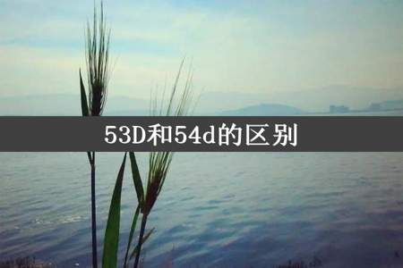 53D和54d的区别