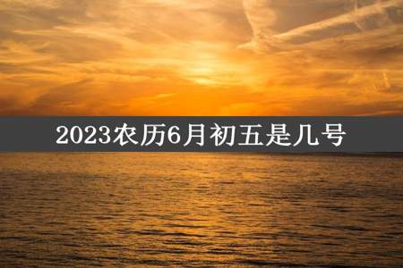 2023农历6月初五是几号