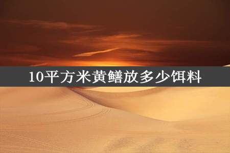 10平方米黄鳝放多少饵料