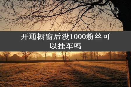 开通橱窗后没1000粉丝可以挂车吗