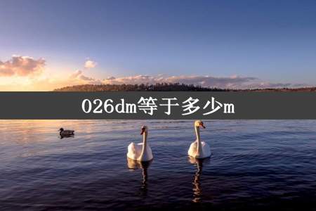 026dm等于多少m