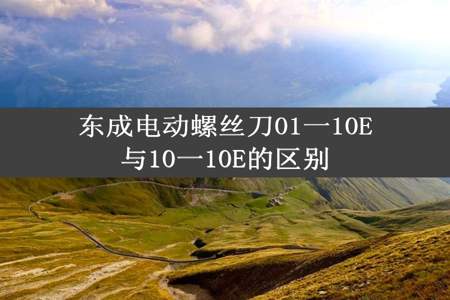 东成电动螺丝刀01一10E与10一10E的区别