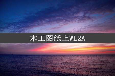 木工图纸上WL2A