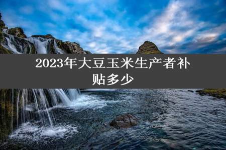 2023年大豆玉米生产者补贴多少